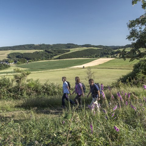 Eifelleiter Hohenleimbach, © Kappest Eifelleiter Hohenleimbach, © Kappest