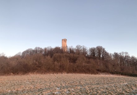 Burg Olbrück, © Gabriele Arzdorf Burg Olbrück, © Gabriele Arzdorf