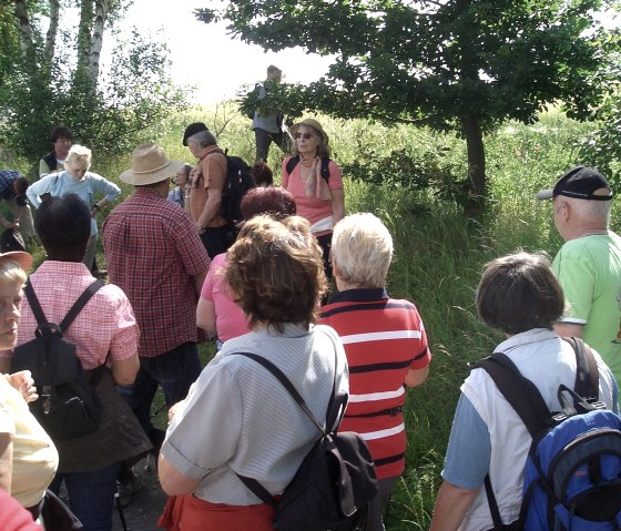Wandern mit dem Bürgermeister 3, © VG Brohltal Wandern mit dem Bürgermeister 3, © VG Brohltal