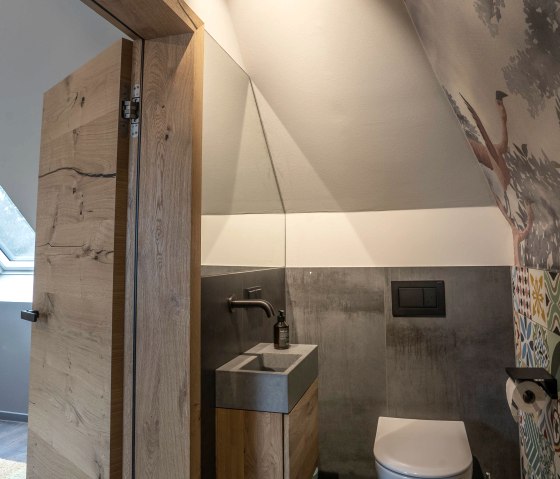 Bad mit Dusche - Mehrbettzimmer Bad mit Dusche - Mehrbettzimmer