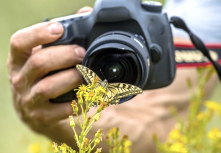 Fotowettbewerb Heimatjahrbuch Mayen-Koblenz 2022, © AdobeStock_197281669 Fotowettbewerb Heimatjahrbuch Mayen-Koblenz 2022, © AdobeStock_197281669