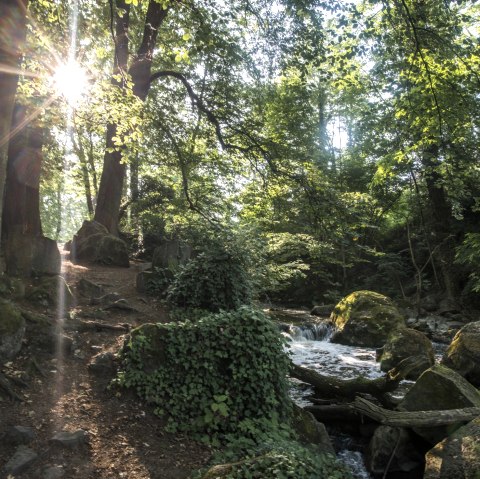 Rauscherpark, © Kappest/Vulkanregion Laacher See Rauscherpark, © Kappest/Vulkanregion Laacher See