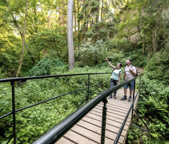 Brücke in der Wolfsschlucht, © Eifel Tourismus GmbH/Dominik Ketz Brücke in der Wolfsschlucht, © Eifel Tourismus GmbH/Dominik Ketz