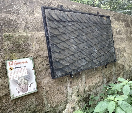 Schiefer, © Vulkanregion Laacher See/D. Bell Schiefer, © Vulkanregion Laacher See/D. Bell