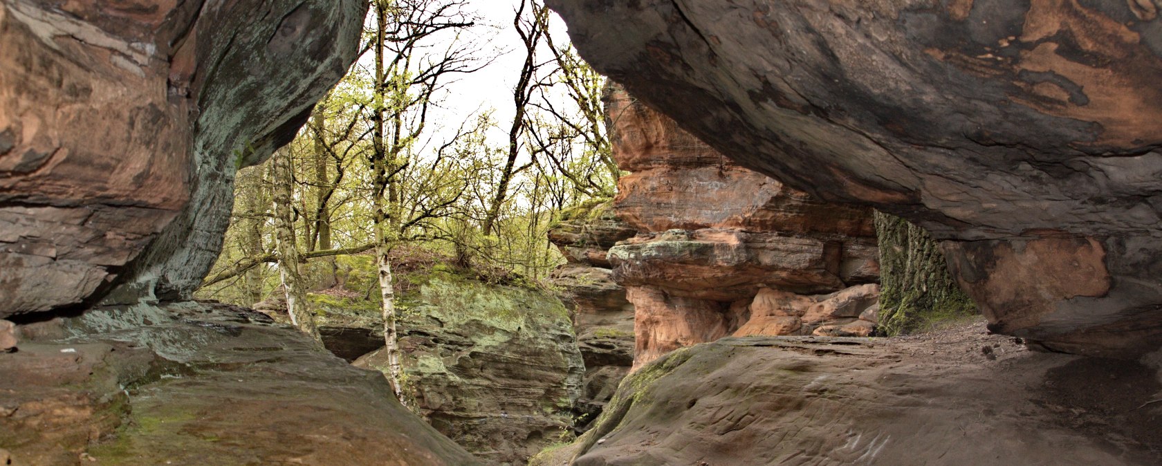 Foto, © Sven von Loga Foto, © Sven von Loga