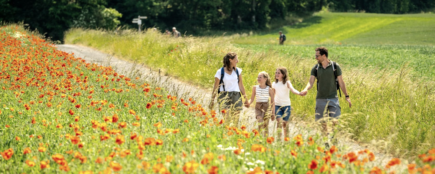 ET-2023-144-Laacher See--©Eifel Tourismus GmbH, Dominik Ketz, © Eifel Tourismus GmbH, Dominik Ketz ET-2023-144-Laacher See--©Eifel Tourismus GmbH, Dominik Ketz, © Eifel Tourismus GmbH, Dominik Ketz