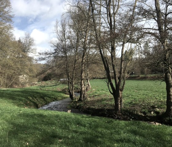 Natur, © Gabriele Arzdorf Natur, © Gabriele Arzdorf