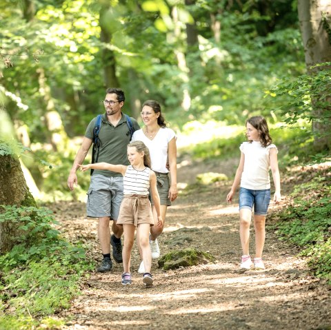 Familienwanderung in der Vulkanregion Laacher See, © Eifel Tourismus GmbH, Dominik Ketz Familienwanderung in der Vulkanregion Laacher See, © Eifel Tourismus GmbH, Dominik Ketz