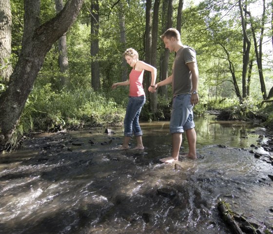 Wanderather - Le long du ruisseau, © Traumpfade Wanderather - Le long du ruisseau, © Traumpfade