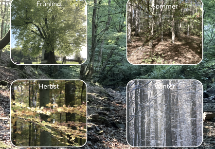 Jahreszeiten, © M. Schmitz Jahreszeiten, © M. Schmitz