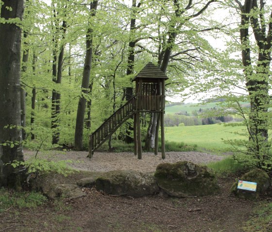 Aussicht, © TI Vulkanregion Laacher See/Schote Aussicht, © TI Vulkanregion Laacher See/Schote