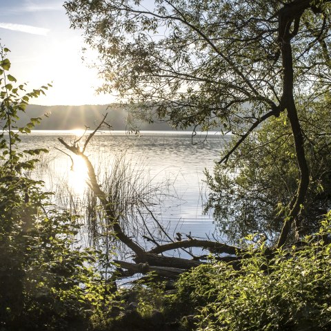 Laacher See, © Vulkanregion Laacher See, Klaus-Peter Kappest Laacher See, © Vulkanregion Laacher See, Klaus-Peter Kappest