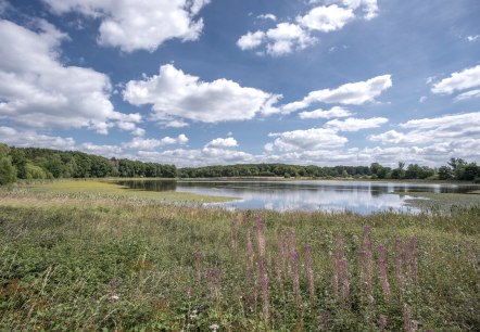 Osteifelweg Etappe Engeln nach Bad Neuenahr, © Vulkanregion Laacher See, Kappest Osteifelweg Etappe Engeln nach Bad Neuenahr, © Vulkanregion Laacher See, Kappest