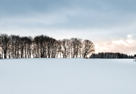 Winderlandschaft, © Baumann Fotografie Winderlandschaft, © Baumann Fotografie