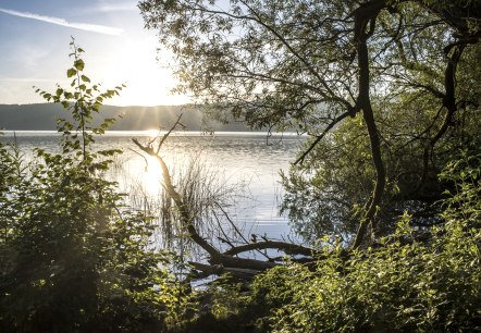 Cache Laachus beginnt sein Abenteuer, © Kappest/Vulkanregion Laacher See Cache Laachus beginnt sein Abenteuer, © Kappest/Vulkanregion Laacher See