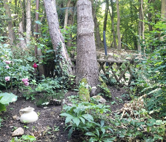 20250622_120712 20250622_120712