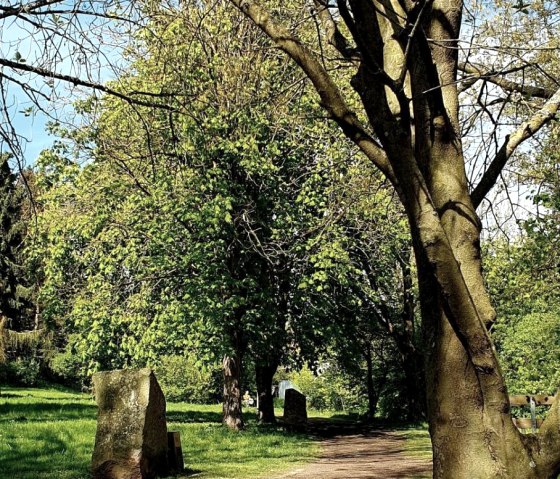 Weg entlang der Natursteine, © VG Mendig/U.Niederelz Weg entlang der Natursteine, © VG Mendig/U.Niederelz