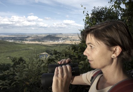 Weitblicke vom Traumpfad "Pellenzer Seepfad", © Kappest/Remet Weitblicke vom Traumpfad "Pellenzer Seepfad", © Kappest/Remet