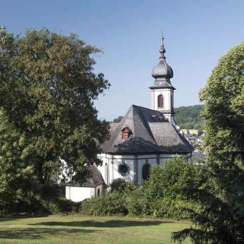 Cache Laachus im Schlosspark, © Kappest/Vulkanregion Laacher See Cache Laachus im Schlosspark, © Kappest/Vulkanregion Laacher See