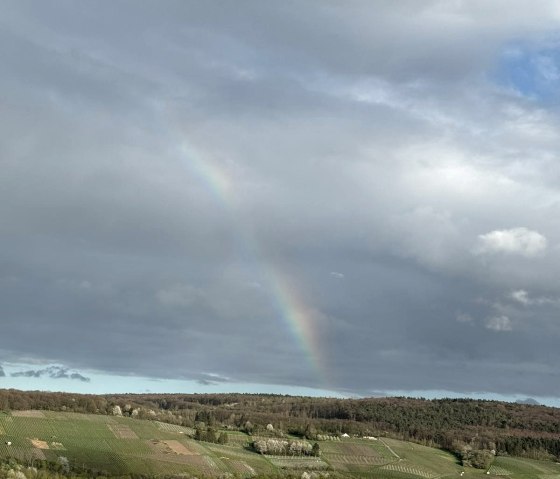 Sei live dabei beim Naturschauspiel Sei live dabei beim Naturschauspiel
