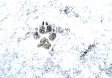 Adventsabenteuer 2, © Maren Dönhoff Adventsabenteuer 2, © Maren Dönhoff