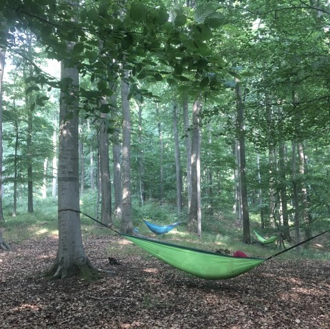 Hängematte, © Gabriele Arzdorf Hängematte, © Gabriele Arzdorf