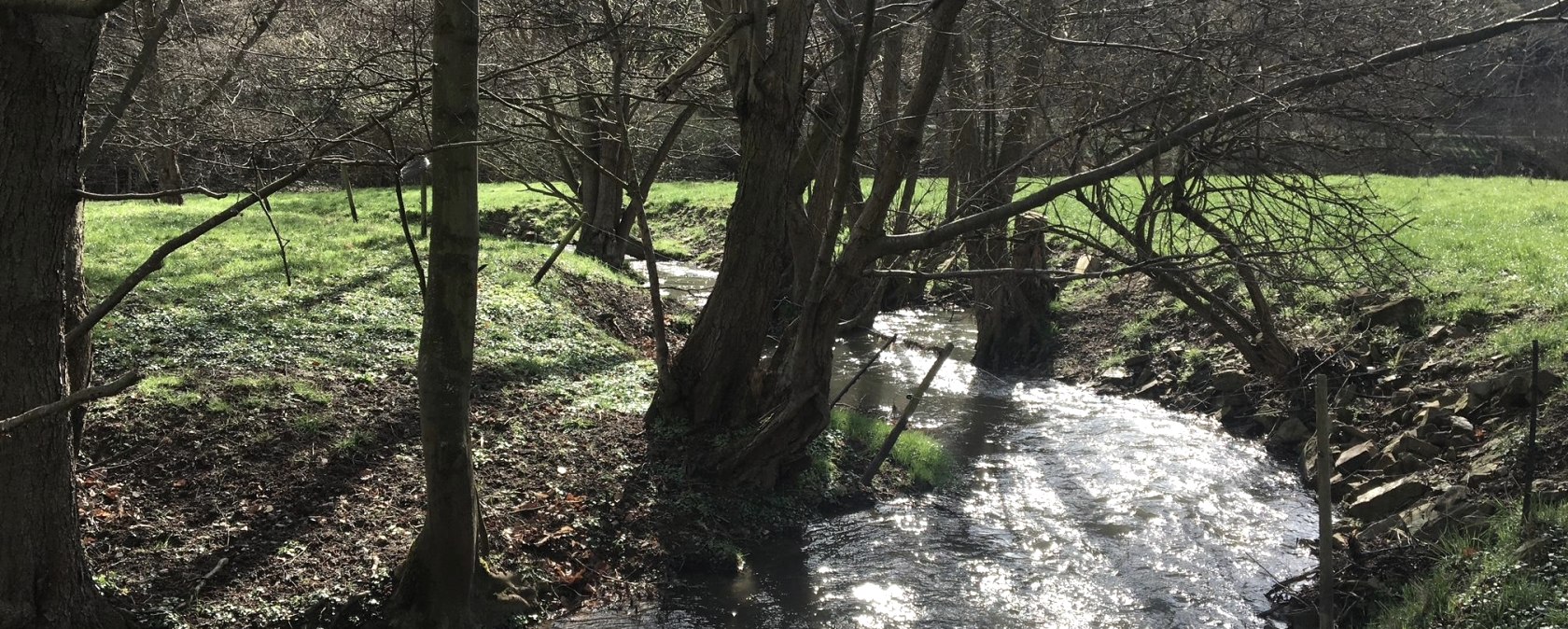 Bachlauf, © Gabriele Arzodorf Bachlauf, © Gabriele Arzodorf