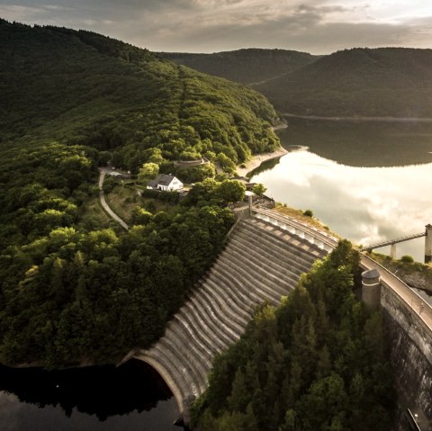Vue sur le barrage de l'Urft dans le parc national de l'Eifel, © Eifel Tourismus GmbH, D. Ketz Vue sur le barrage de l'Urft dans le parc national de l'Eifel, © Eifel Tourismus GmbH, D. Ketz