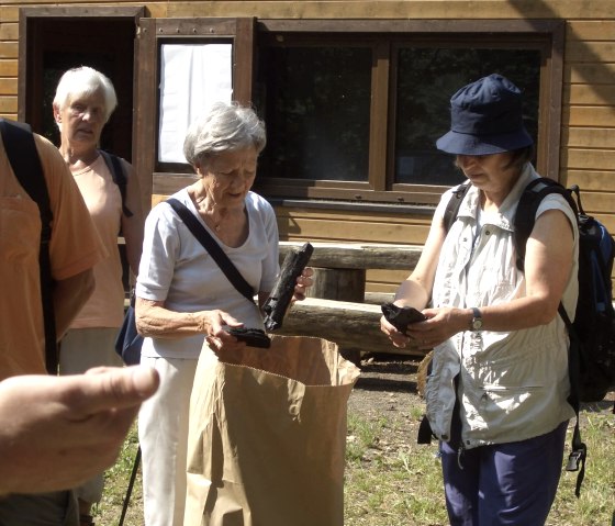 Wandern auf dem Köhlerweg, © VG Brohltal Wandern auf dem Köhlerweg, © VG Brohltal