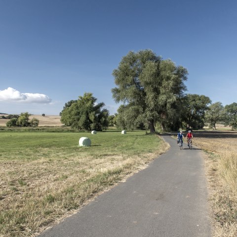 Cache Laachus in den Thürer Wiesen, © Kappest/Vulkanregion Laacher See Cache Laachus in den Thürer Wiesen, © Kappest/Vulkanregion Laacher See