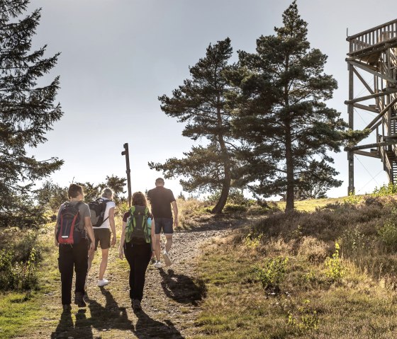 Weiselstein, © Vulkanregion Laacher See Weiselstein, © Vulkanregion Laacher See