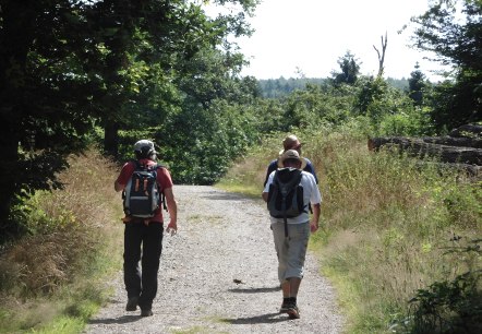 Lubentiusweg, © Manfred Schlich Lubentiusweg, © Manfred Schlich