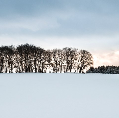 Winderlandschaft, © Baumann Fotografie Winderlandschaft, © Baumann Fotografie