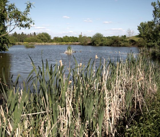 Thürer Wiesen Thürer Wiesen