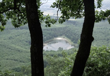 Krufter Waldsee, © VG Pellenz/Manea Krufter Waldsee, © VG Pellenz/Manea