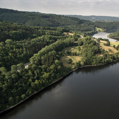 Vue sur la vallée d'Einruhr sur le sentier de l'Eifel, © Eifel Tourismus/D. Ketz Vue sur la vallée d'Einruhr sur le sentier de l'Eifel, © Eifel Tourismus/D. Ketz