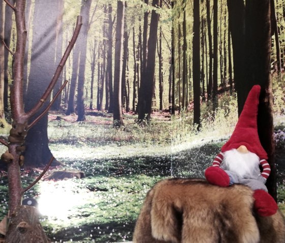 Fototapete, © C. Lengyel Fototapete, © C. Lengyel