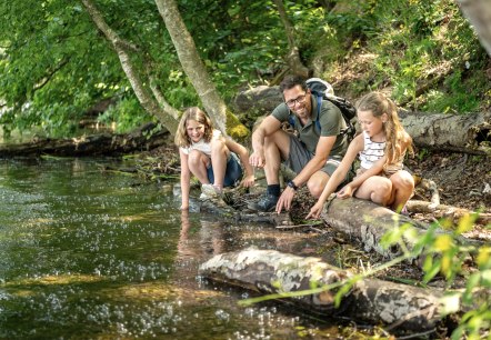 Pellenzer Seepfad Laacher See - Mofetten, © Eifel Tourismus GmbH, Dominik Ketz Pellenzer Seepfad Laacher See - Mofetten, © Eifel Tourismus GmbH, Dominik Ketz