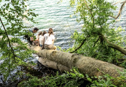 Relaxen am Laacher See, © Eifel Tourismus GmbH, Dominik Ketz Relaxen am Laacher See, © Eifel Tourismus GmbH, Dominik Ketz