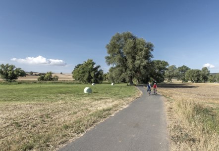 Cache Laachus in den Thürer Wiesen, © Kappest/Vulkanregion Laacher See Cache Laachus in den Thürer Wiesen, © Kappest/Vulkanregion Laacher See