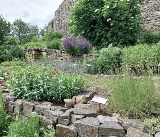 Burg Olbrück, © Vulkanregion Laacher See/Kappest Burg Olbrück, © Vulkanregion Laacher See/Kappest