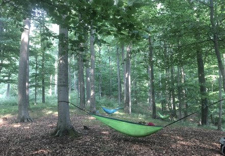 Hängematte, © Gabriele Arzdorf Hängematte, © Gabriele Arzdorf