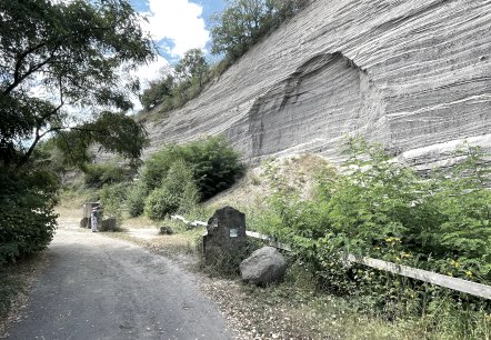 Landschaftsdenkmal "Wingertsbergwand", © Kappest/Vulkanpark GmbH Landschaftsdenkmal "Wingertsbergwand", © Kappest/Vulkanpark GmbH
