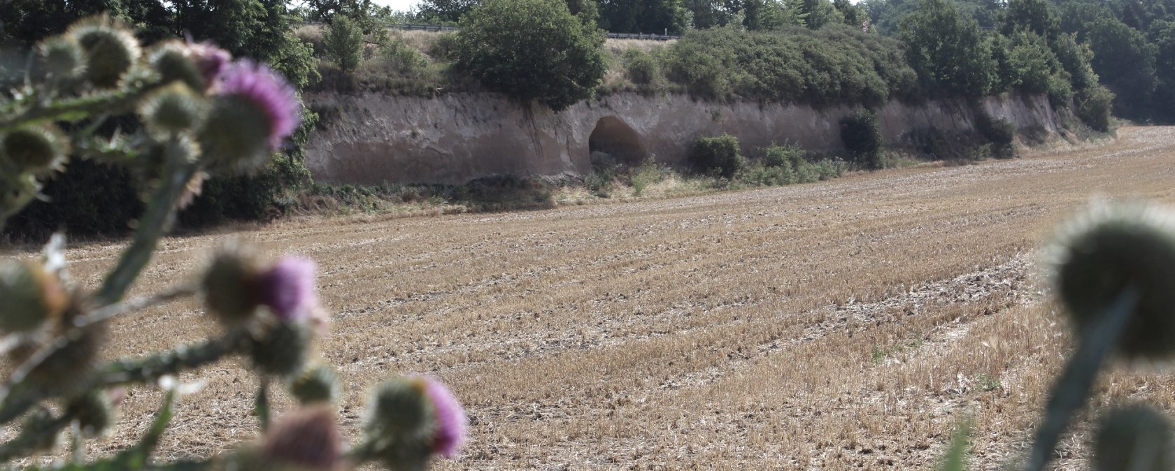 Stollensystem im Krufter Bachtal, © VG Pellenz/Alexandru Manea Stollensystem im Krufter Bachtal, © VG Pellenz/Alexandru Manea