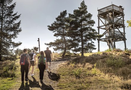 Weiselstein, © Vulkanregion Laacher See Weiselstein, © Vulkanregion Laacher See