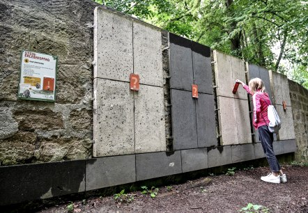 Cache Laachus am Steinlehrpfad, © J.Zimpel-Nonn Cache Laachus am Steinlehrpfad, © J.Zimpel-Nonn