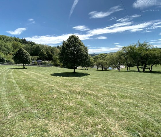 Wiese, © Elke Becker Wiese, © Elke Becker