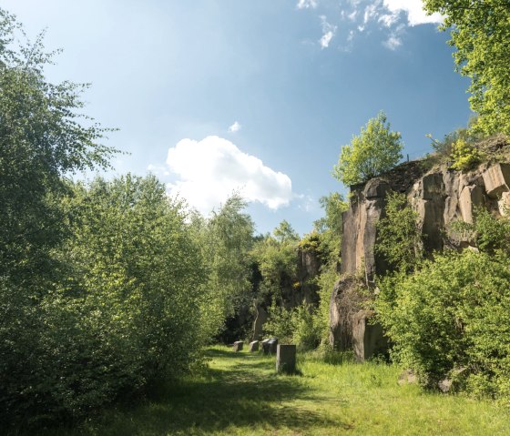 Felswand im Mayener Grubenfeld am Vulkanpark-Radweg, © Rheinland-Pfalz Tourismus GmbH, D. Ketz Felswand im Mayener Grubenfeld am Vulkanpark-Radweg, © Rheinland-Pfalz Tourismus GmbH, D. Ketz