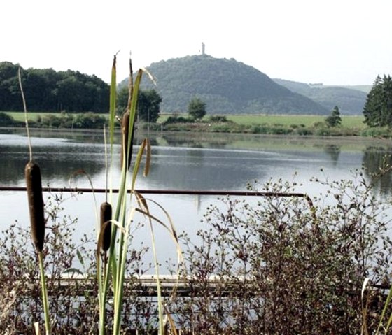 Rodder Maar mit Burg Olbrück Rodder Maar mit Burg Olbrück