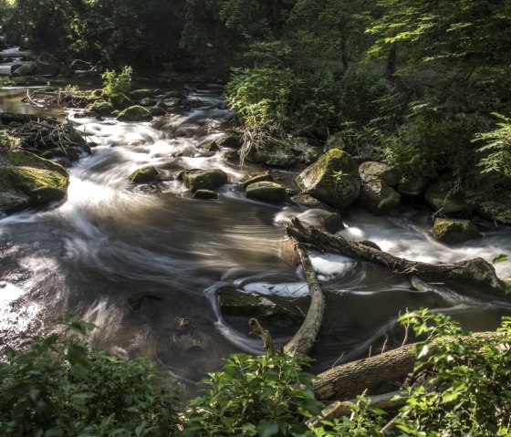 Nice, © Kappest/Vulkanregion Laacher See Nice, © Kappest/Vulkanregion Laacher See
